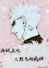 (海贼王同人)海贼王之火烈鸟的羁绊
