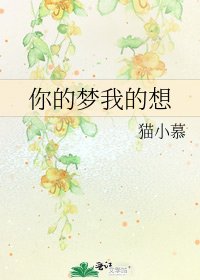 你的梦我的想