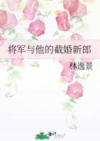 将军与他的截婚新郎